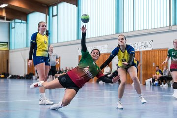 Bild 292 - F HSG Kremperheide/Muensterdorf - HSG HerKollNeu : Ergebnis: 43:29